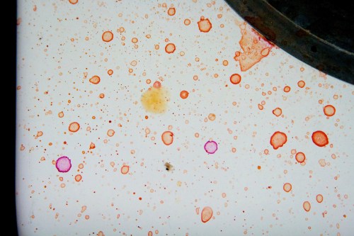 IMG_6881 - Version 2