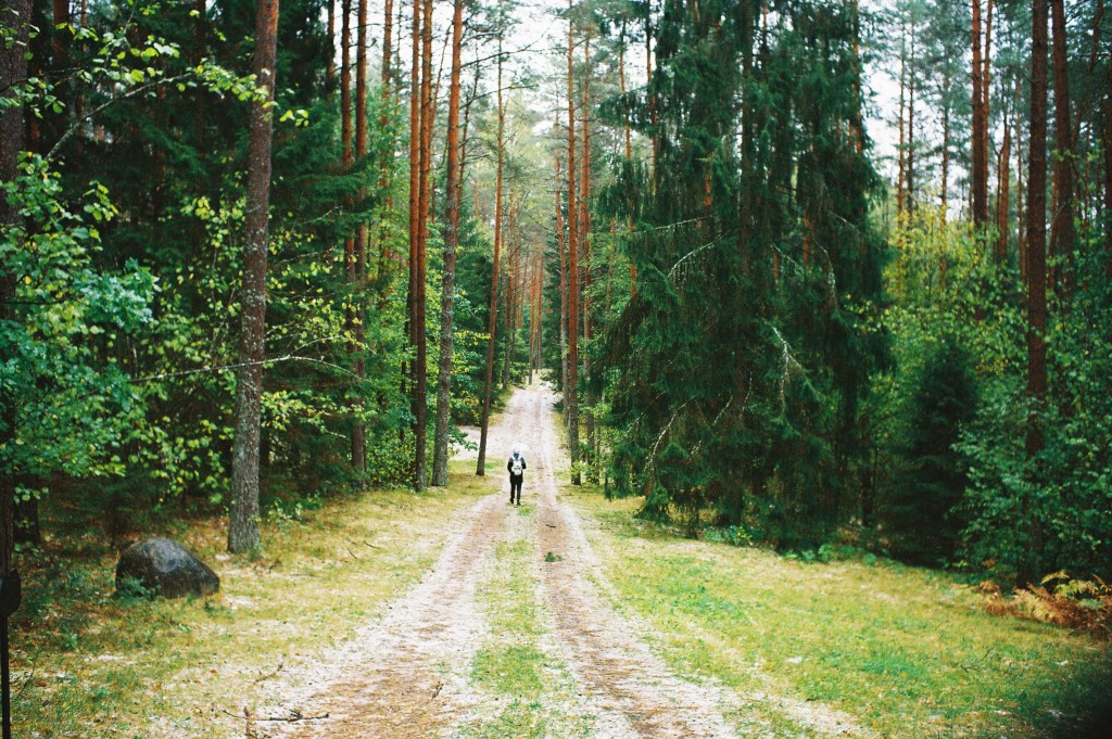 Person walking down trail with hail on ground in wooded area